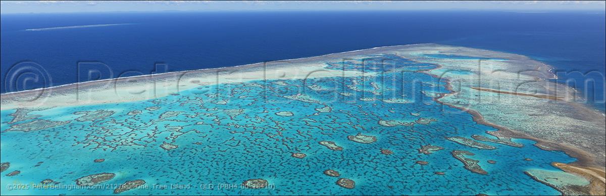Peter Bellingham Photography One Tree Island - QLD (PBH4 00 18410)
